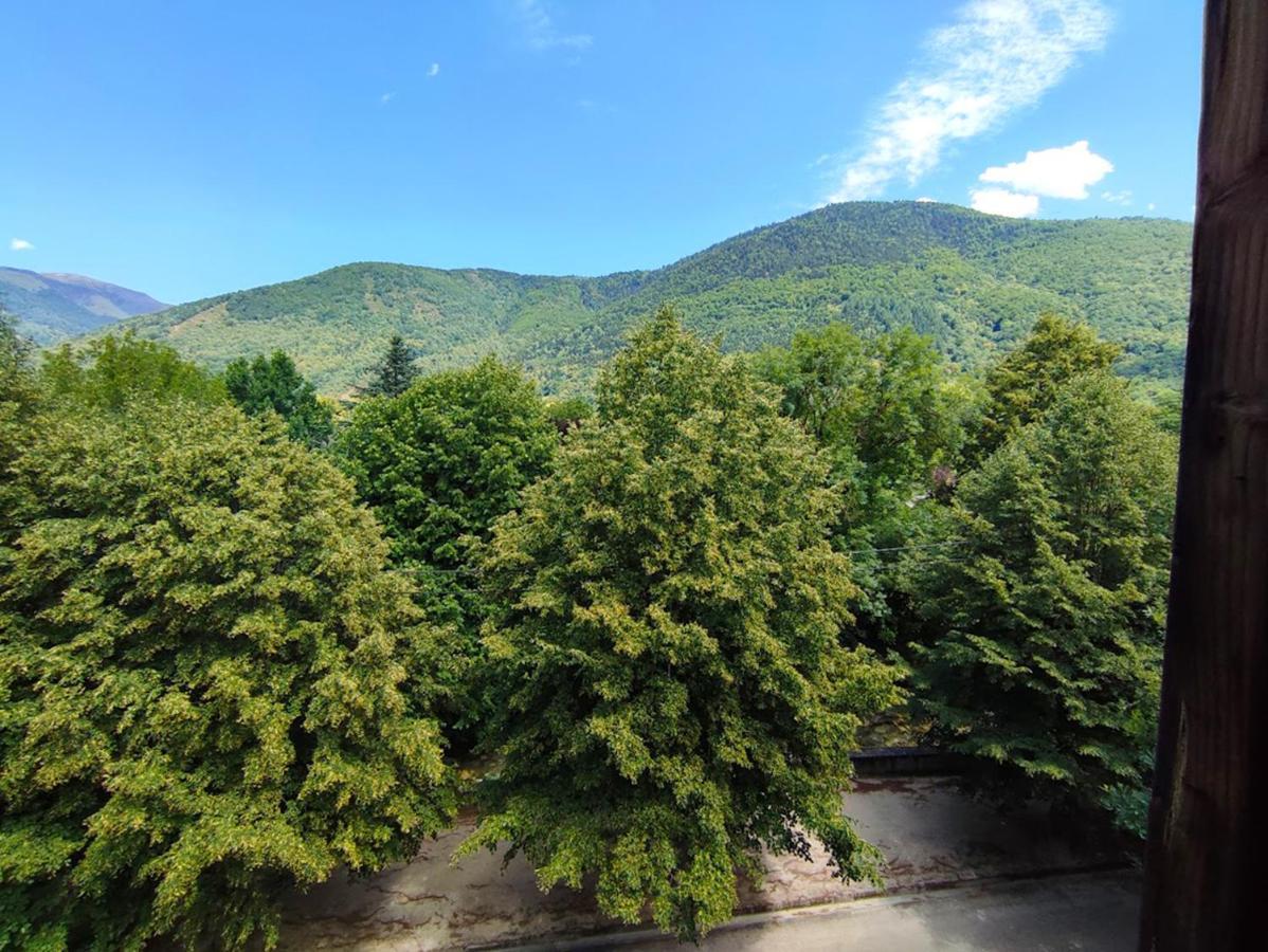 T3 Les Jardins De Ramel, Parking, Balcon, Ascenseur, 5 Personnes Lägenhet Bagnères-de-Luchon Exteriör bild